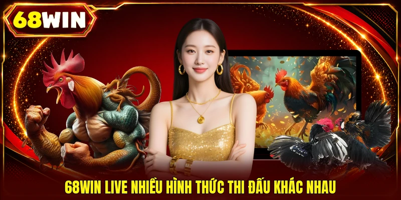 Đá Gà 68WIN - Live 4K Cực Nét, 500+ Trận Thư Hùng Mỗi Ngày