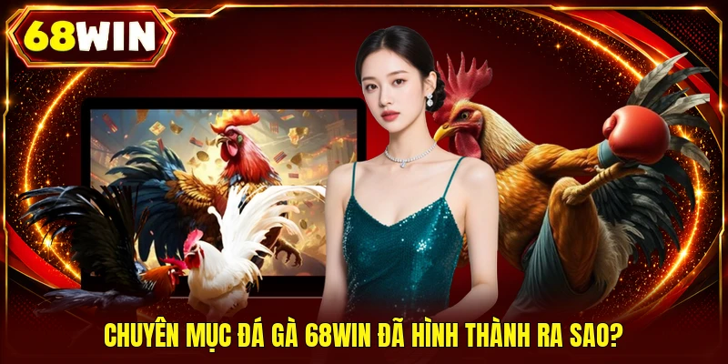 Đá Gà 68WIN - Live 4K Cực Nét, 500+ Trận Thư Hùng Mỗi Ngày