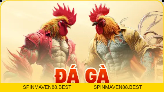 68WIN - Truy Cập Nhà Cái 68WIN.COM Mới Nhất T10/2026