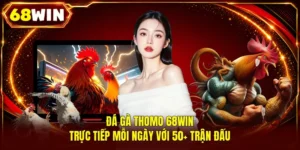 Đá Gà 68WIN - Live 4K Cực Nét, 500+ Trận Thư Hùng Mỗi Ngày